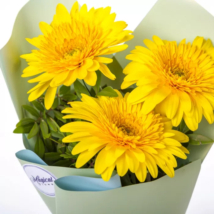 Букет из 3 желтых гербер