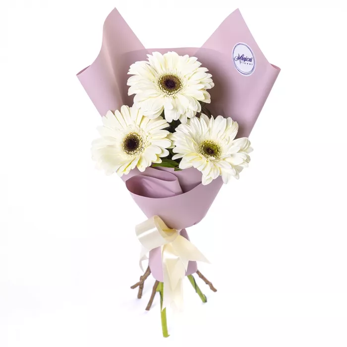 Букет из 3 белых гербер Букет из 3 белых гербер