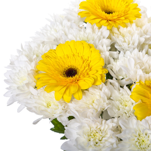 Букет цветов из белых хризантем и гербер