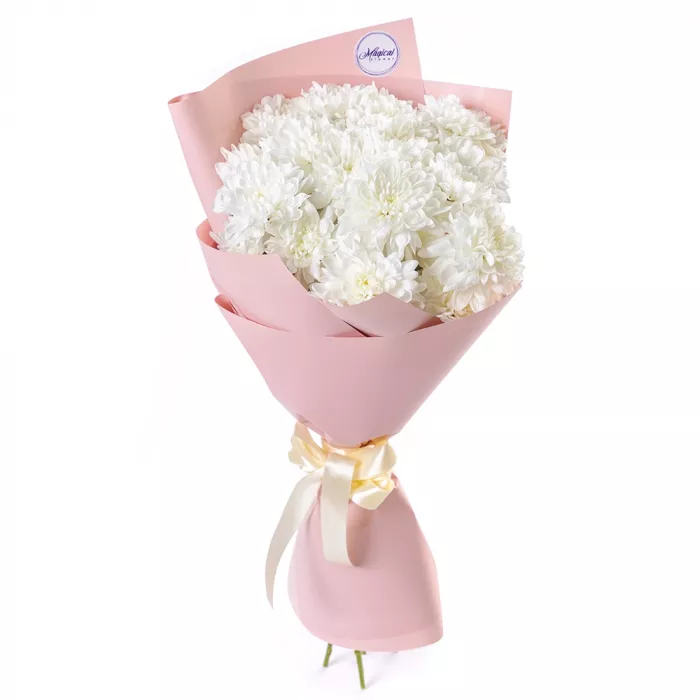 Букет из 5 белых хризантем в пленке