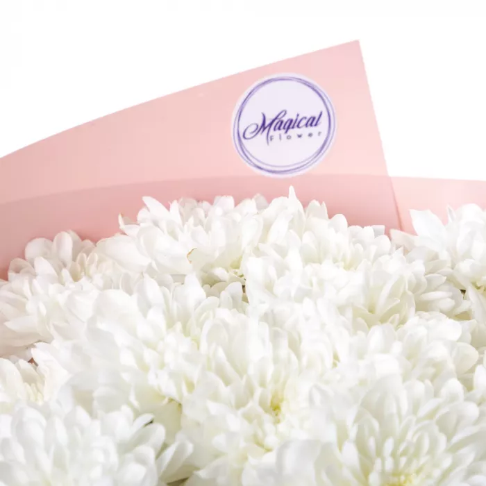 Букет из 5 белых хризантем в пленке