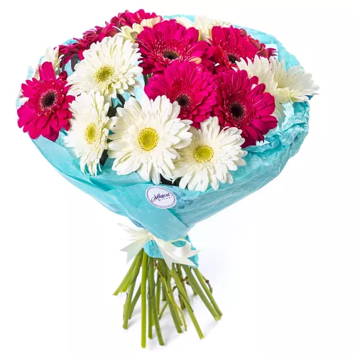 Букет из 19 разноцветных гербер