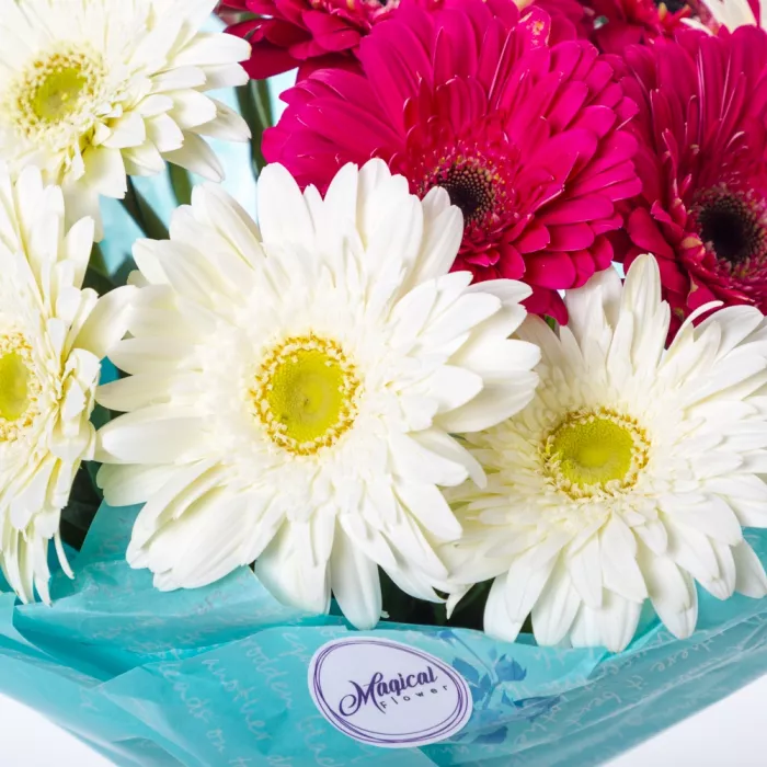 Букет из 19 разноцветных гербер