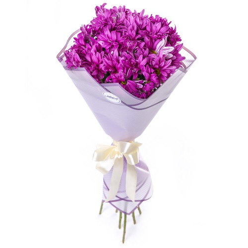 Монобукет из 7 фиолетовых хризантем
