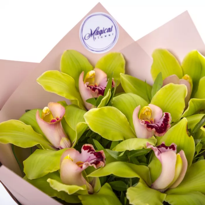 Букет из 7 розовых орхидей