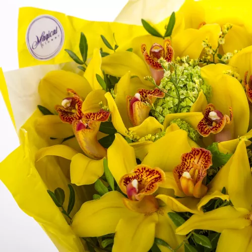Монобукет из 15 желтых орхидей