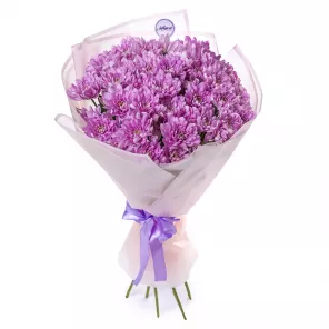 Букет из 7 сиреневых хризантем