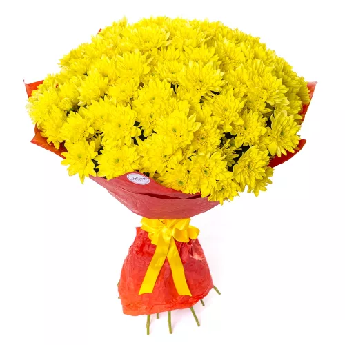 Букет из 21 желтой хризантемы