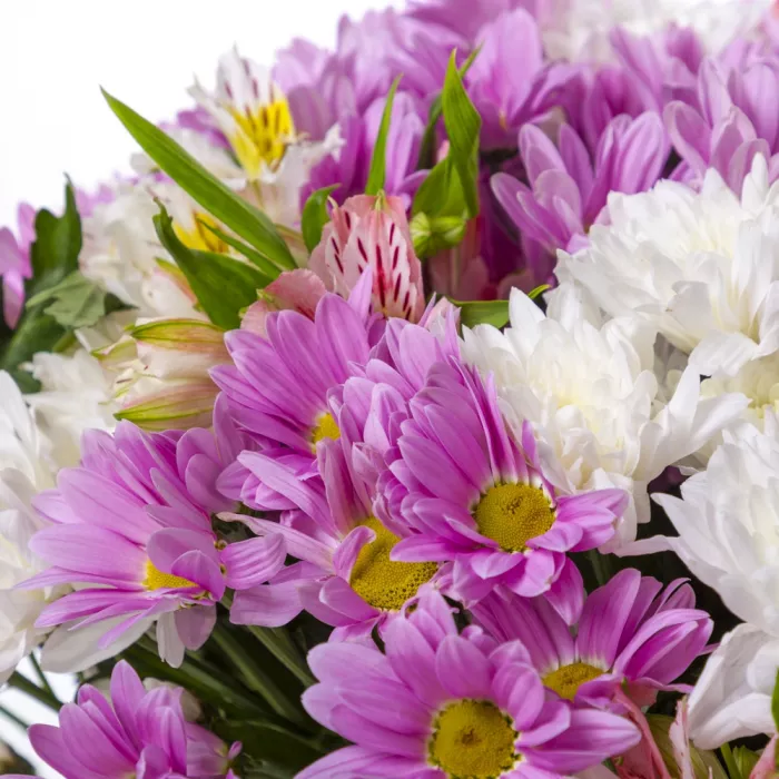 Букет из 19 разноцветных хризантем