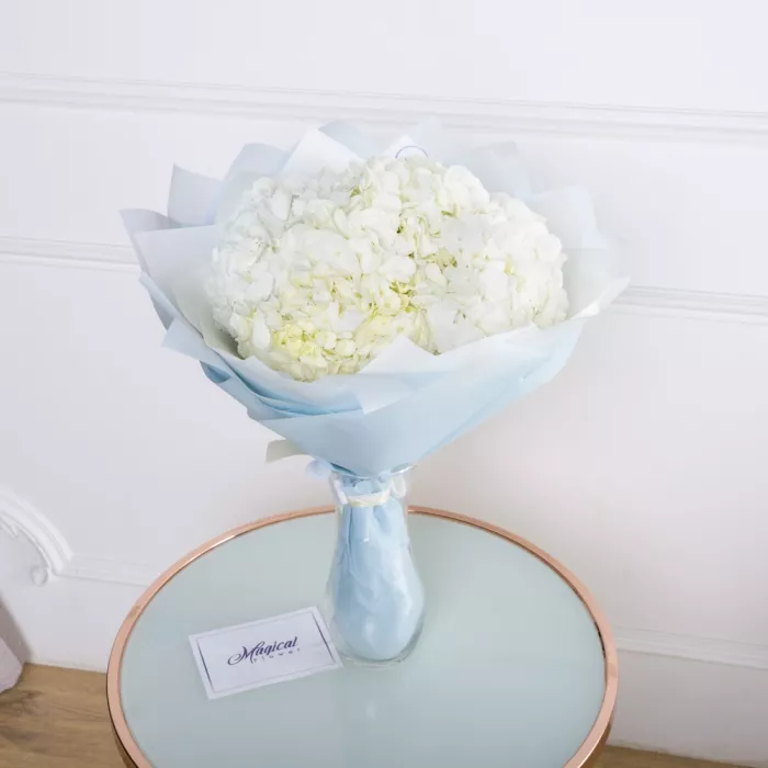 5 белых гортензий