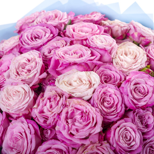 Монобукет из 23 розовых кустовых роз