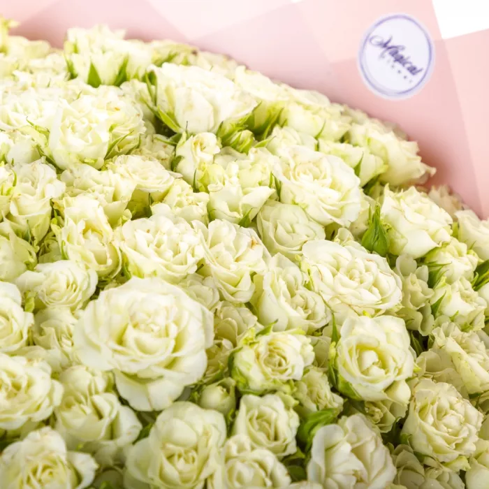 Букет из 101 белой кустовой розы Букет из 101 белой кустовой розы