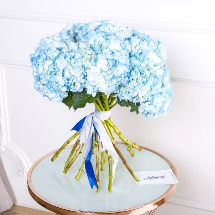 15 голубых гортензий