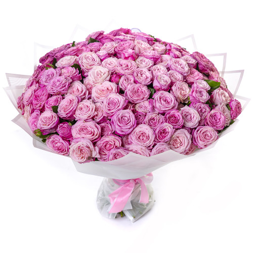Монобукет из 101 розовой кустовой розы