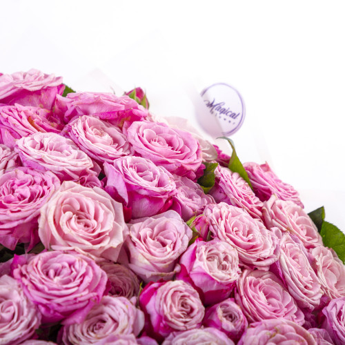 Монобукет из 101 розовой кустовой розы