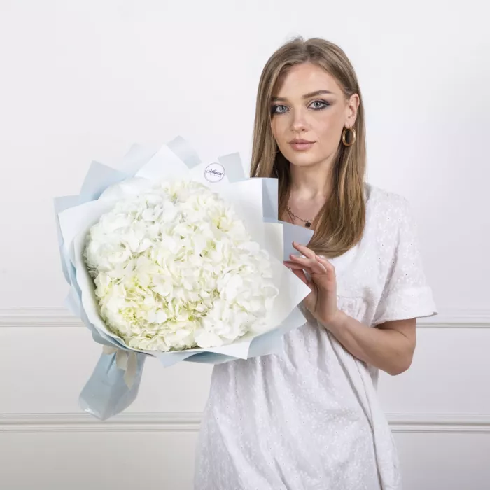 5 белых гортензий