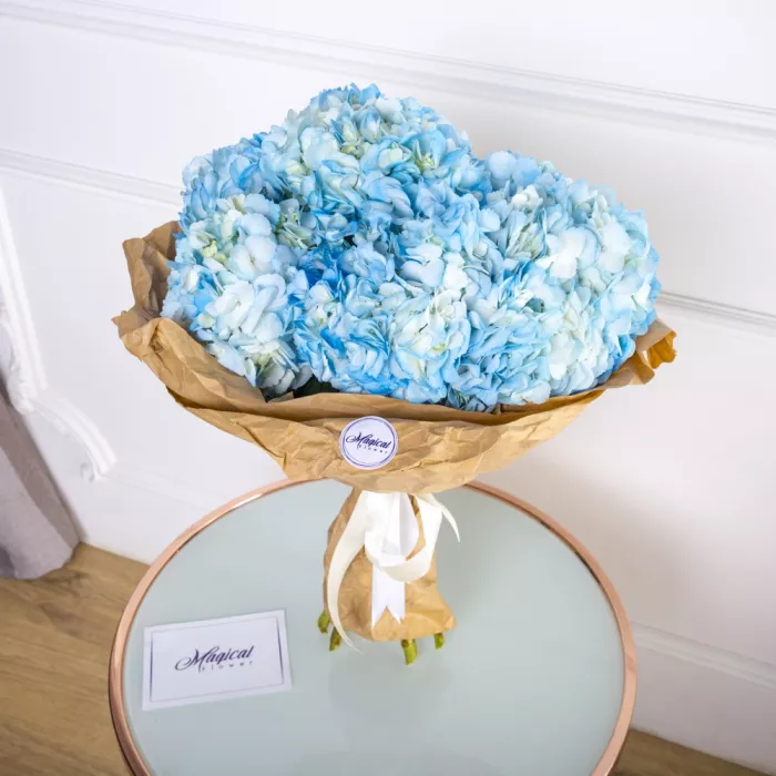 7 голубых гортензий