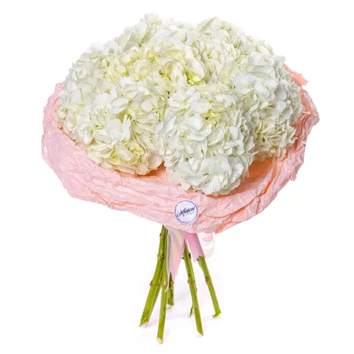 Букет из 9 белых гортензий