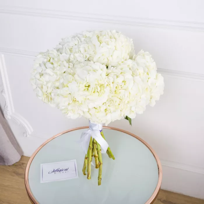 Букет из 11 белых гортензий