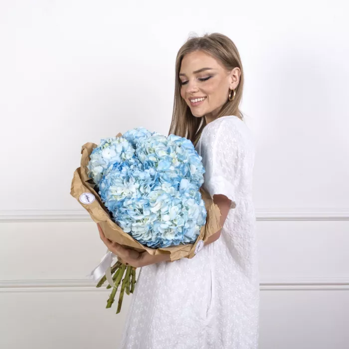 7 голубых гортензий