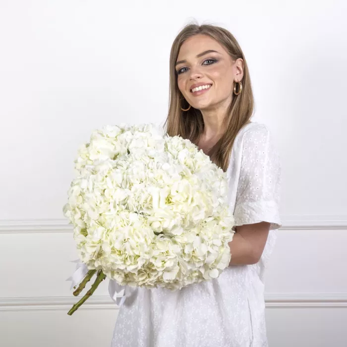 Букет из 11 белых гортензий