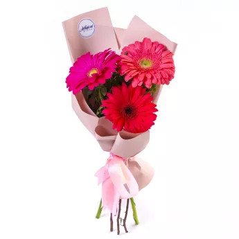 Букет из 3 разноцветных гербер