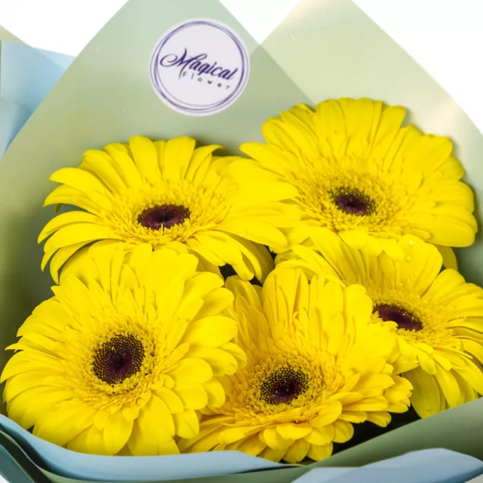 Букет из 5 желтых гербер