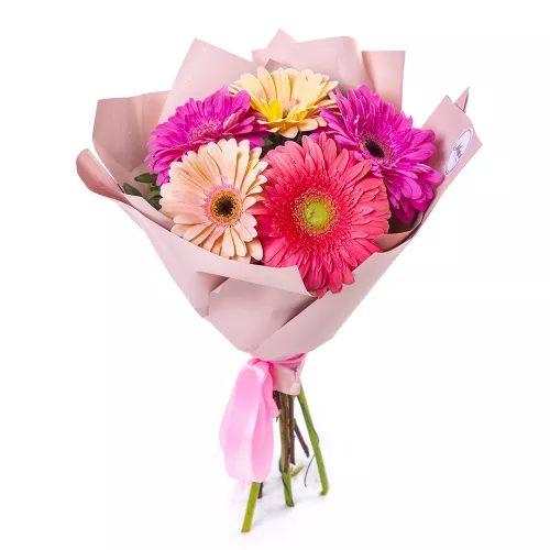 Букет из 5 разноцветных гербер