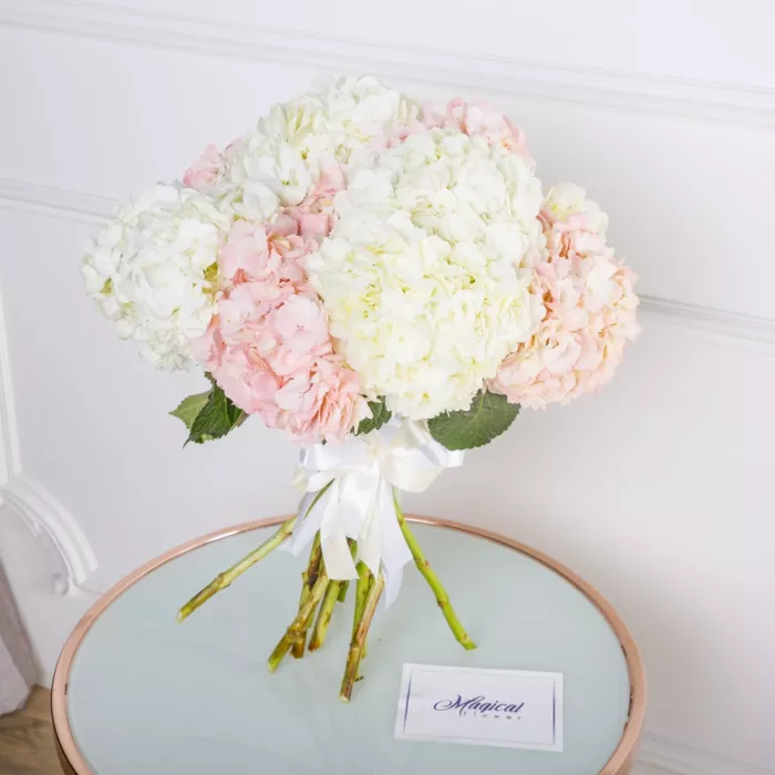 11 разноцветных гортензий