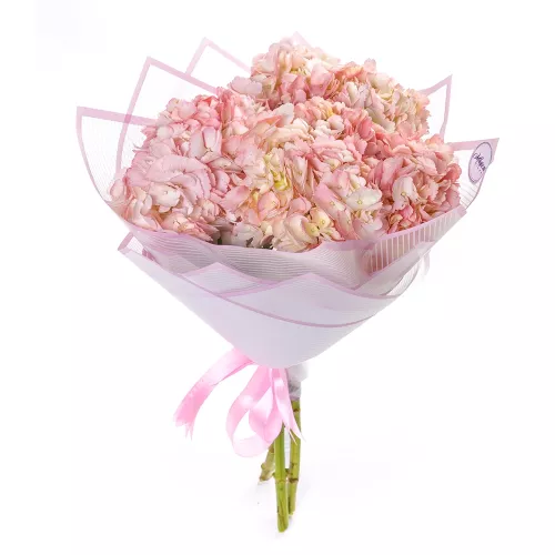 Букет из 3 розовых гортензий