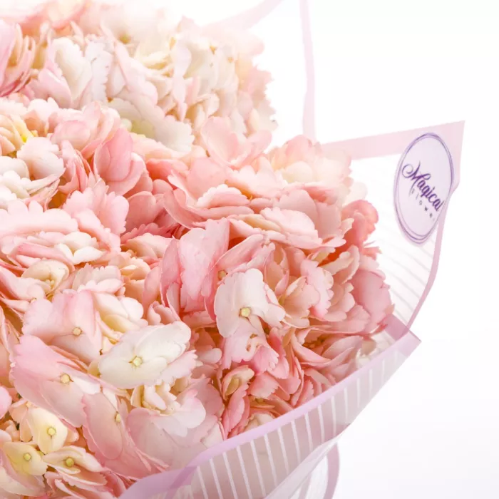 Букет из 3 розовых гортензий