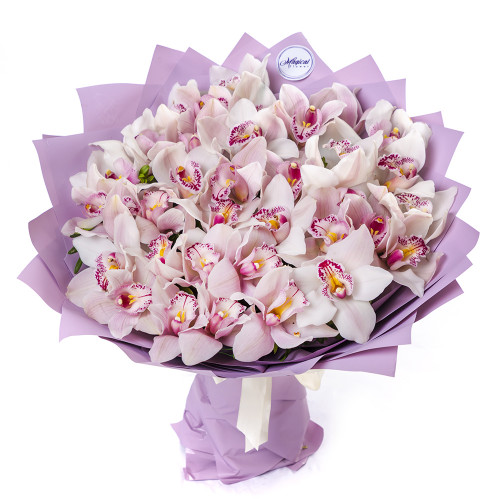 Букет из 35 розовых орхидей