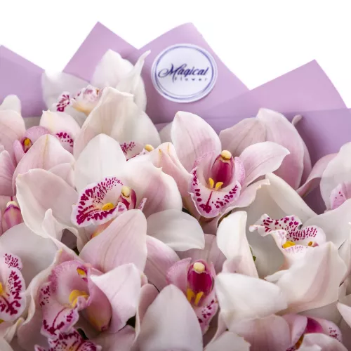 Монобукет из 35 розовых орхидей