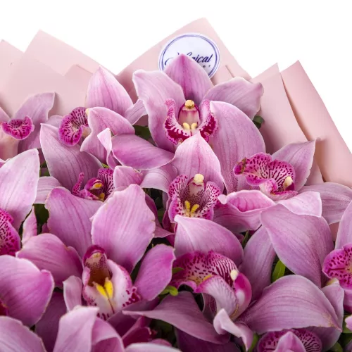 Букет из 35 фиолетовых орхидей