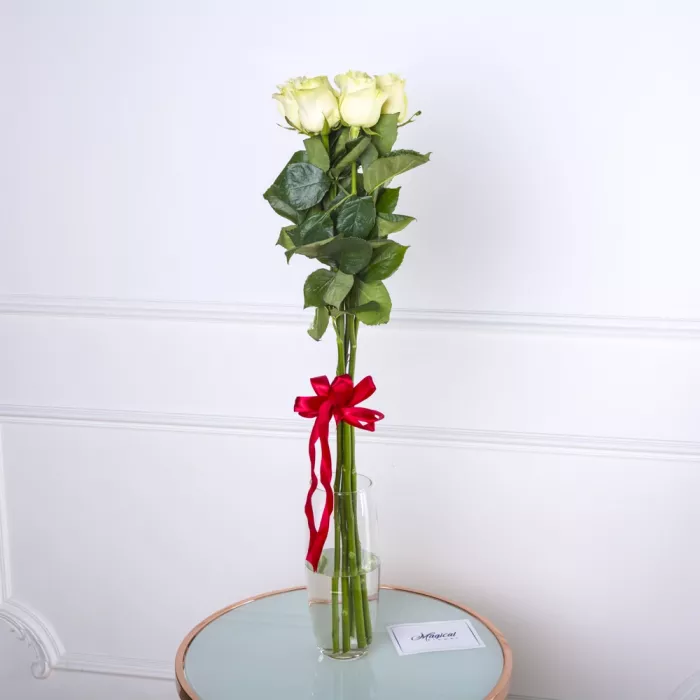 Букет из 5 белых роз Эквадор 100 см