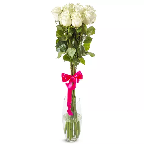 Белые большие розы 9 шт Эквадор 100 см