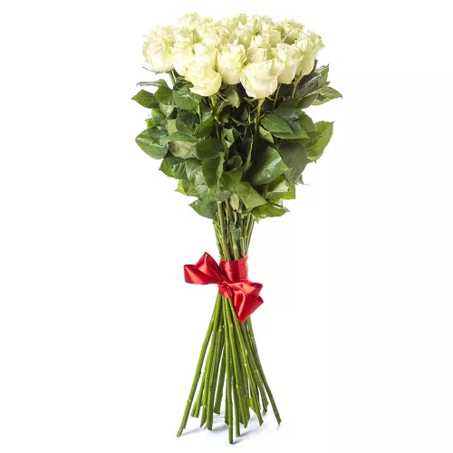 Букет из 25 белых длинных роз Эквадор 100 см
