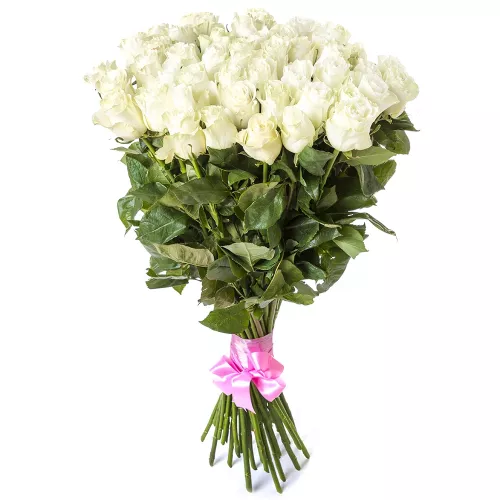 Гигантский букет из 51 белой розы Эквадор 100 см