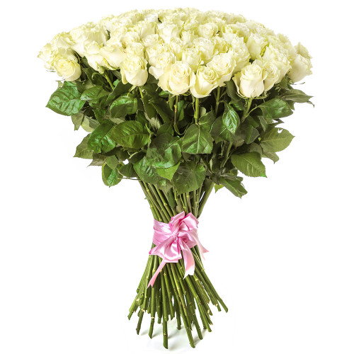 Монобукет из 101 белой розы Эквадор 100 см