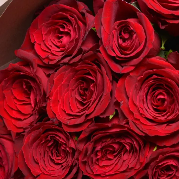 35 красных роз