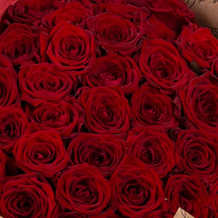 35 красных роз Premium 40 см