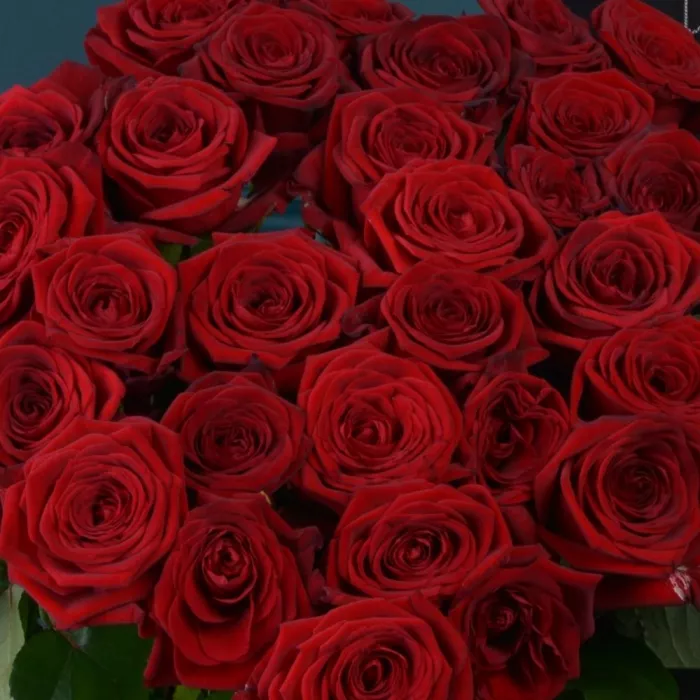 Букет из 35 красных роз Premium 60 см
