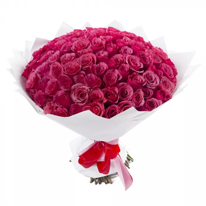101 малиновая роза