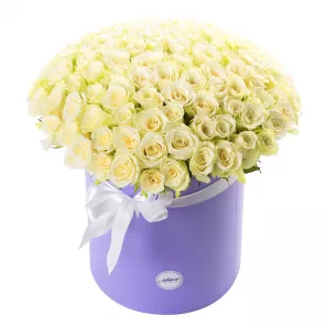 101 белая роза в шляпной коробке