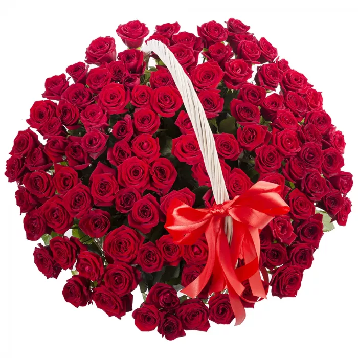 101 красная роза в корзине с лентой