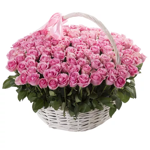 101 розовая роза в корзине с лентой 