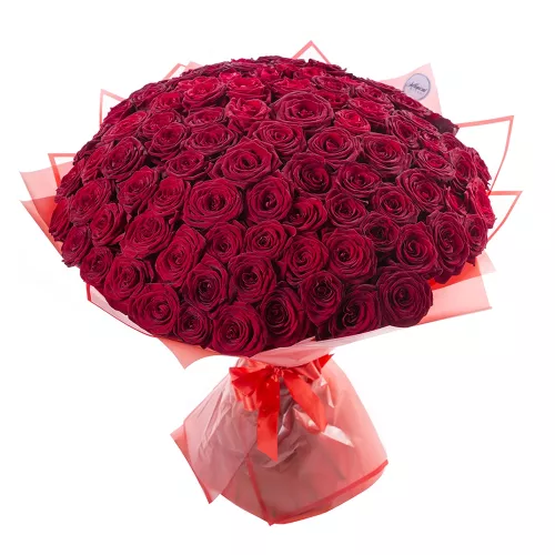 Монобукет из 101 красной розы 60 см