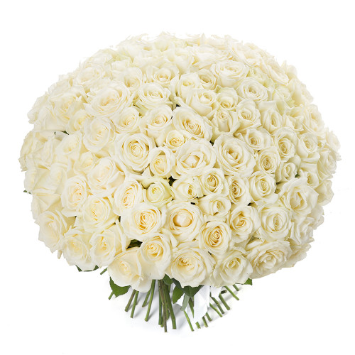 Монобукет из 101 белой розы premium 60 см