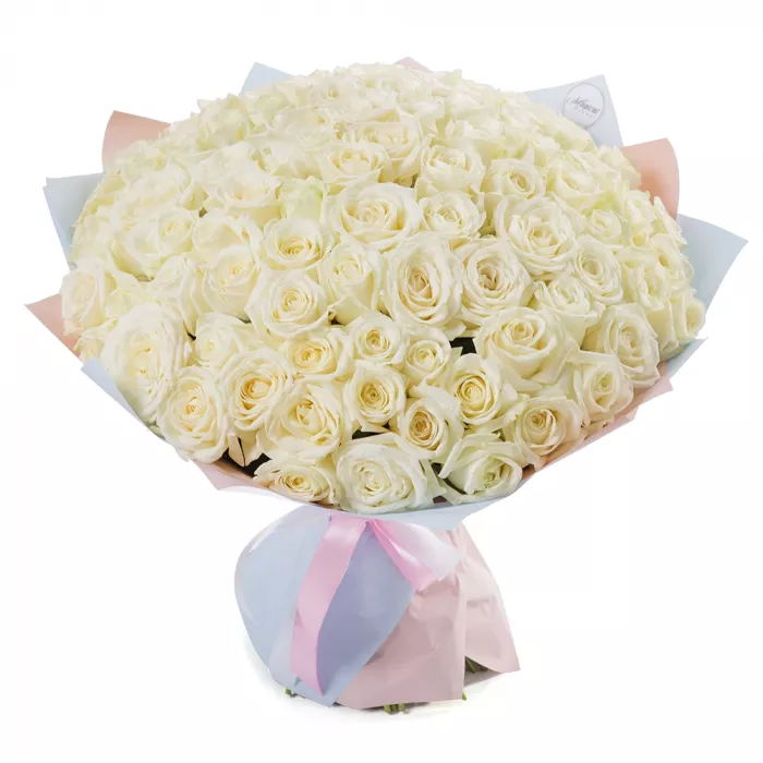 Букет из 101 белой розы 50 см