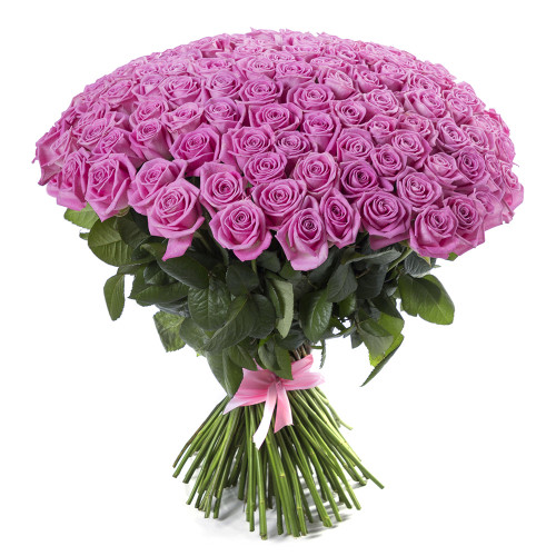 Букет на День матери из 101 розовой розы 50 см под ленту